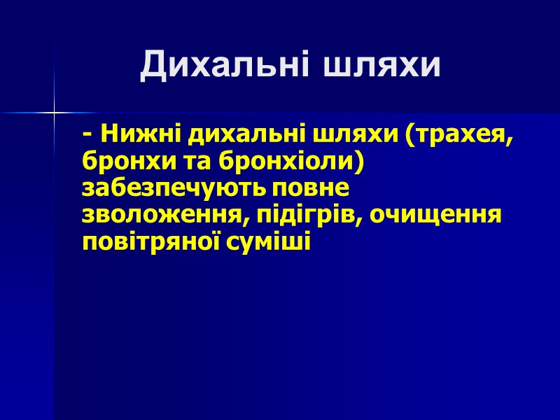 Дихальні шляхи - Нижні дихальні шляхи (трахея, бронхи та бронхіоли) забезпечують повне зволоження, підігрів,